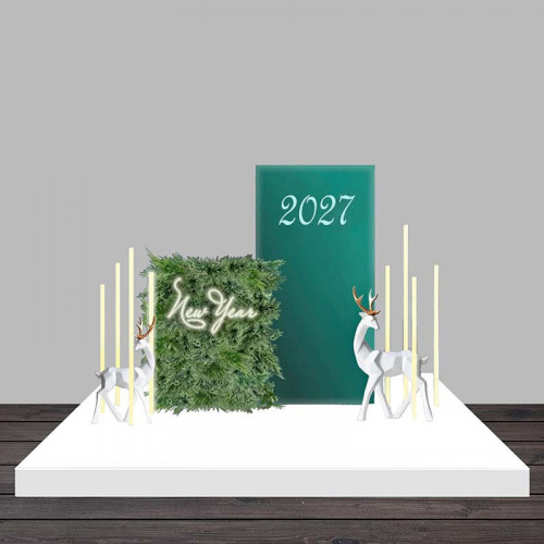 Фотозона «Новогодняя 2027»