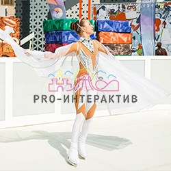 Организация катка